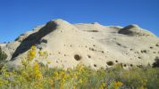 PICTURES/Dinosaur Tracks -  Hole-In-The-Rock Road/t_IMG_7983.JPG